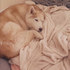 Meet your Posher, Victoria